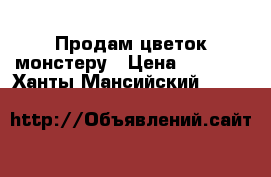 Продам цветок монстеру › Цена ­ 6 000 - Ханты-Мансийский  »    